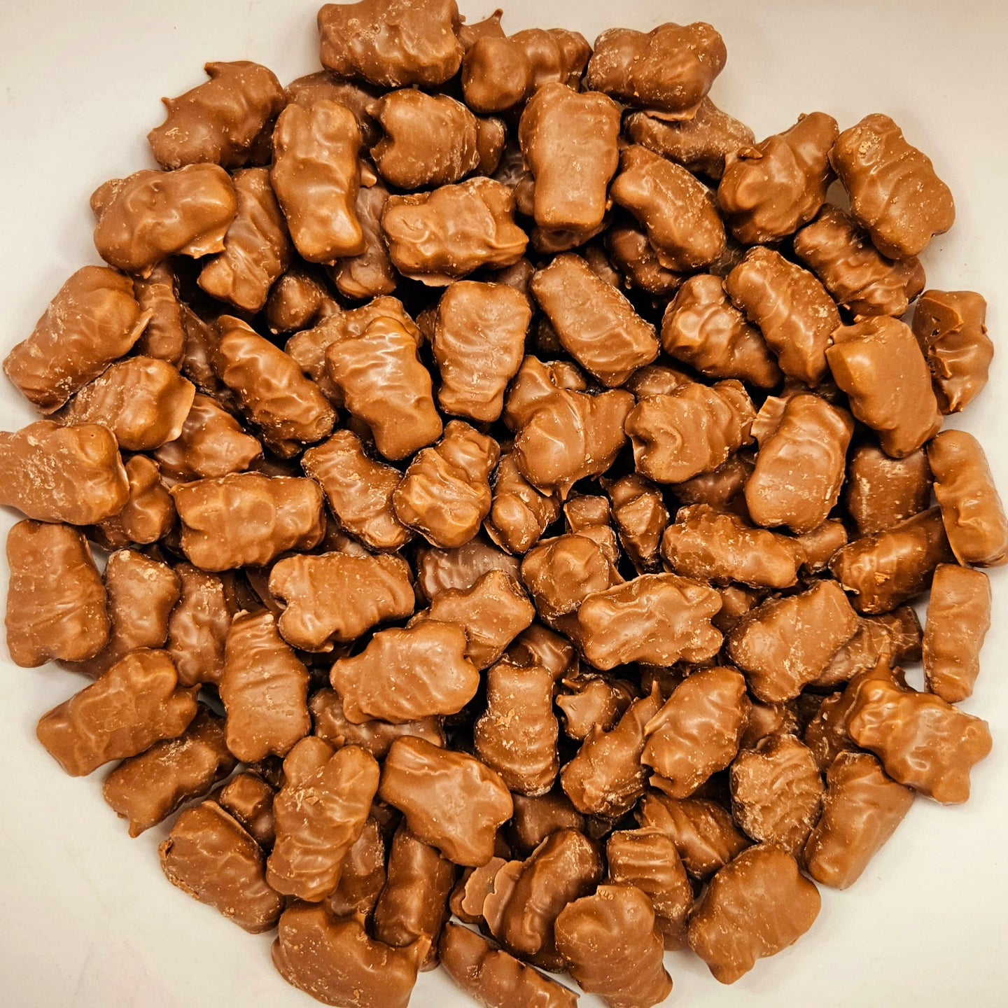 Milk Chocolate Covered Gummy Bears 10 oz