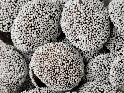 Nonpareils Dark Chocolate 9 oz